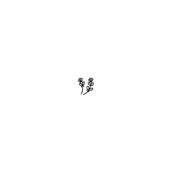 Cuvée LAVANDE 27,5 CL